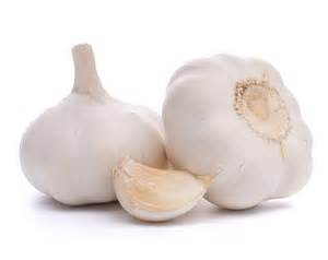 Garlic